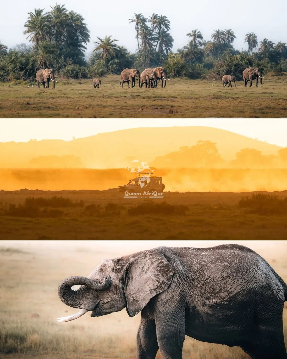 Maasai Mara 2