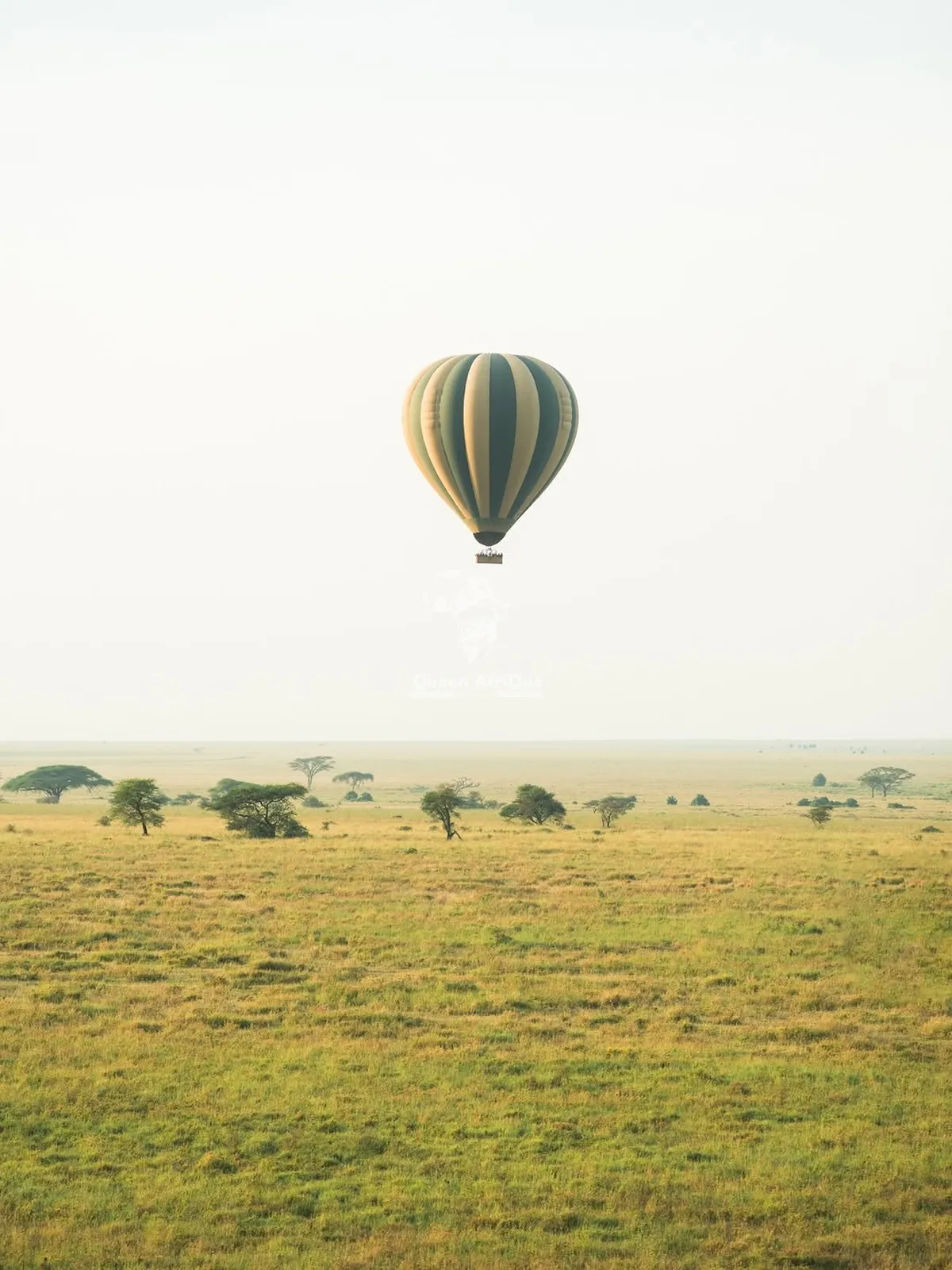 Maasai Mara 1