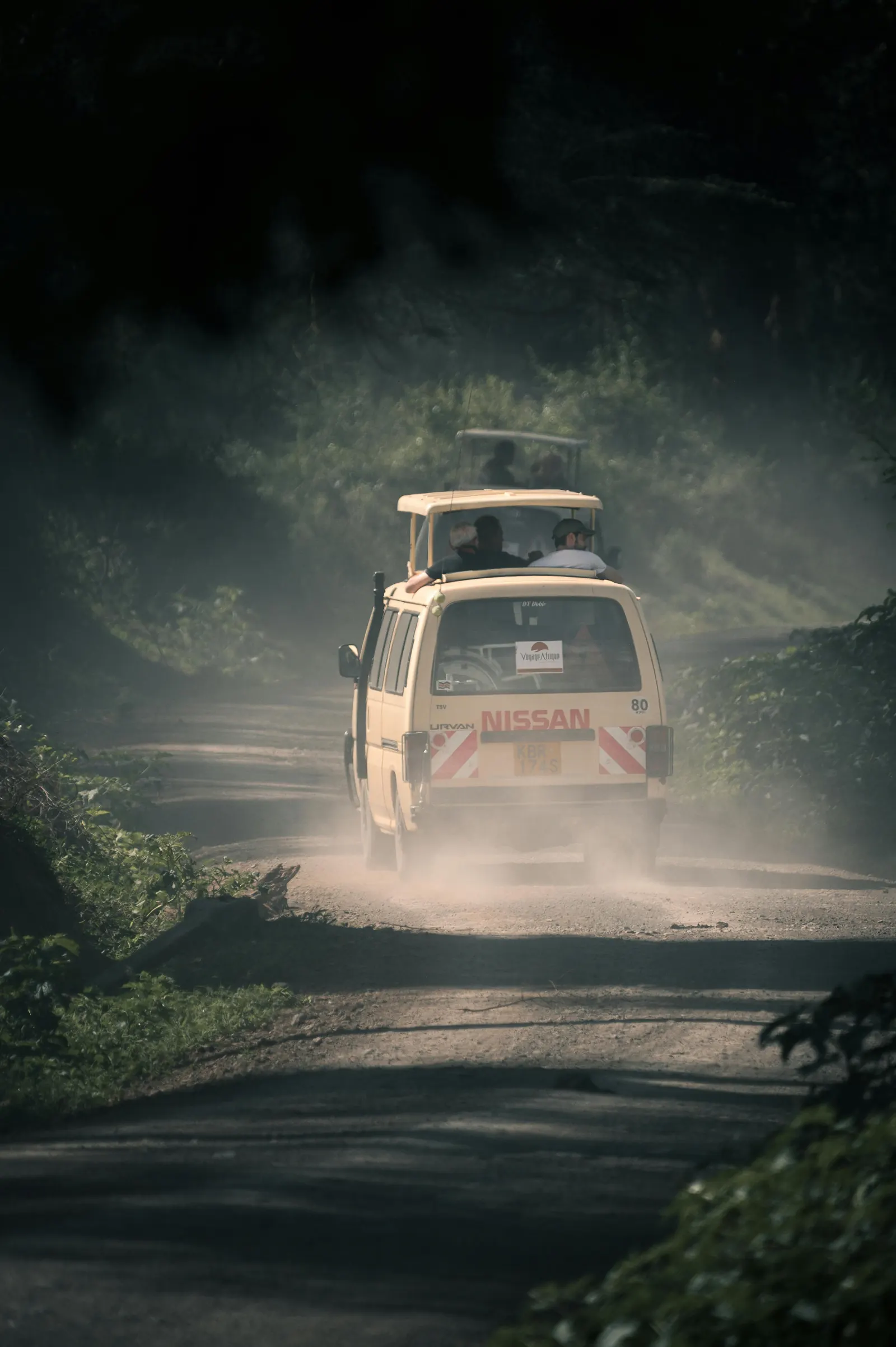 Slow safari landscape